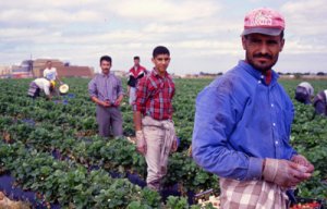 Travailleurs marocains avant le recrutement d'origine mis en place en 2000