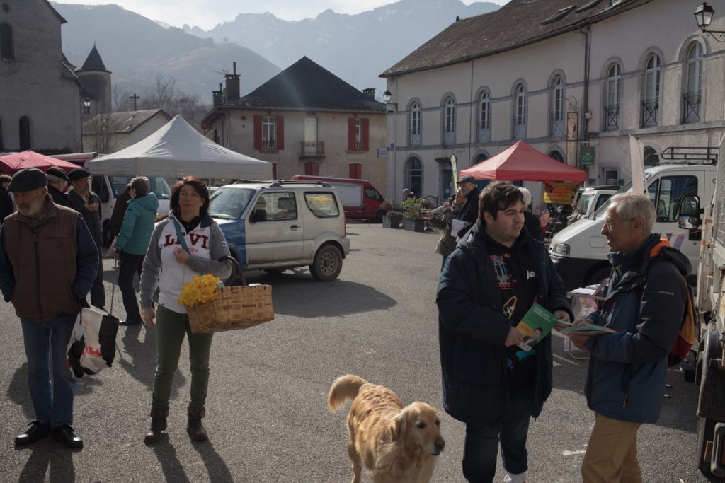 des militants EELV au marché de Bedous