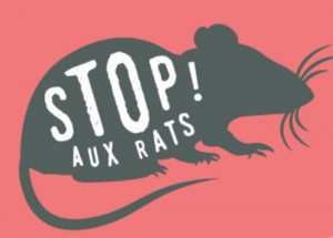 Des rats prolifèrent dans le jardin de votre voisin, la mairie peut-elle  intervenir ?