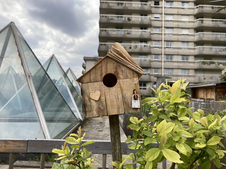 Maisonnette à oiseaux avec un cadenas sur fond de barres d'immeubles