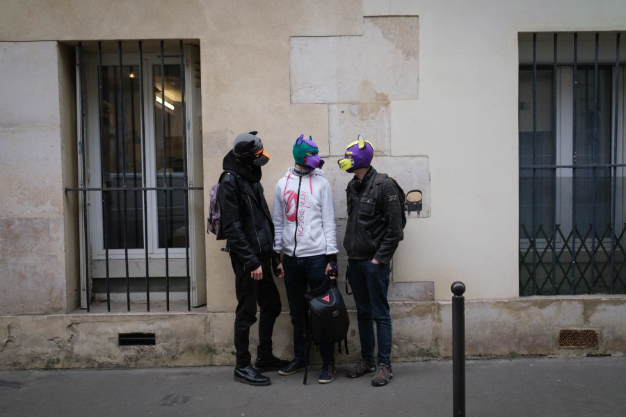 3 puppys (Lokko, Dan et Lapsus) dans la rue, Paris 11eme.