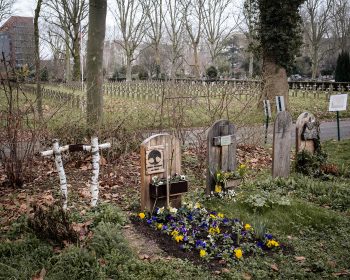 Le cimetière écologique au premier plan dialogue avec le cimetière dédié au morts des deux guerres mondiales au deuxième plan, le 20 février 2024 © Nicolas Moraud
